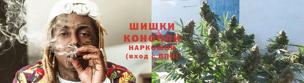 винт Майский