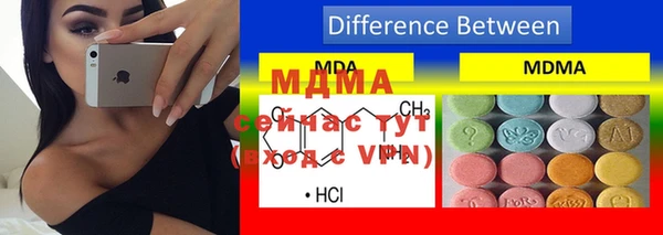 стаф Магас