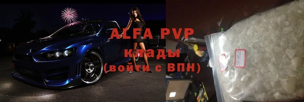 стаф Магас