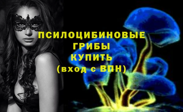 винт Майский
